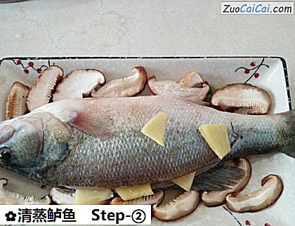 清蒸鲈鱼做法第二步骤