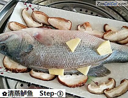 清蒸鲈鱼做法第三步骤
