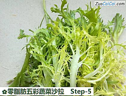 零脂肪五彩蔬菜沙拉做法第五步骤