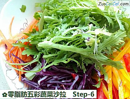 零脂肪五彩蔬菜沙拉做法第六步骤