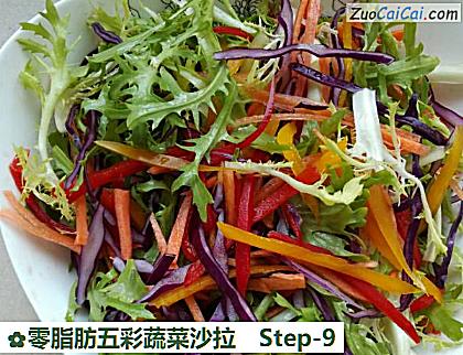 零脂肪五彩蔬菜沙拉做法第九步骤