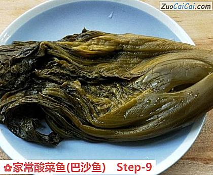 家常酸菜鱼做法第九步骤