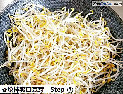 炝拌爽口豆芽做法第三步骤