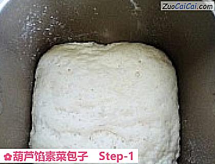 葫芦馅素菜包子做法第一步骤