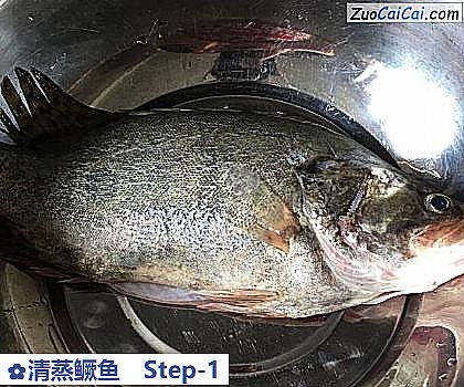 清蒸鳜鱼做法第一步骤