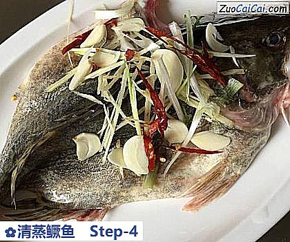 清蒸鳜鱼做法第四步骤