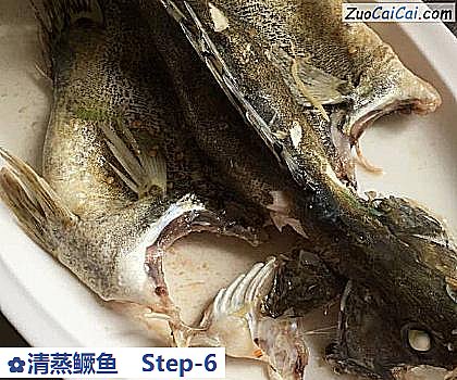 清蒸鳜鱼做法第六步骤