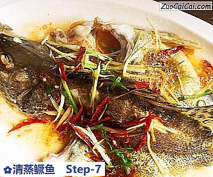 清蒸鳜鱼做法第七步骤
