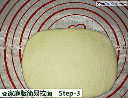 家庭版简易拉面做法第三步骤