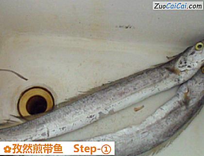 孜然煎带鱼做法第一步骤