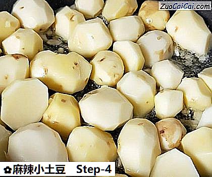 麻辣小土豆做法第四步骤