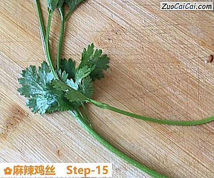 麻辣鸡丝做法第十五步骤