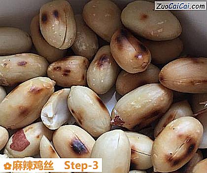 麻辣鸡丝做法第三步骤
