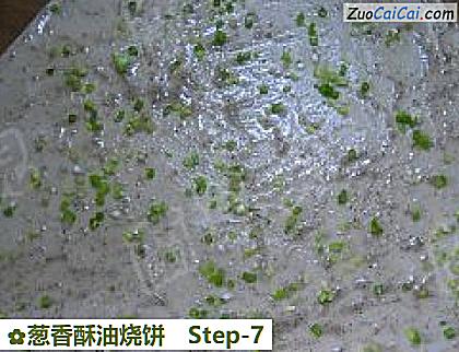 葱香酥油烧饼做法第七步骤
