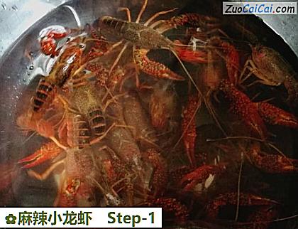 麻辣小龙虾做法第一步骤