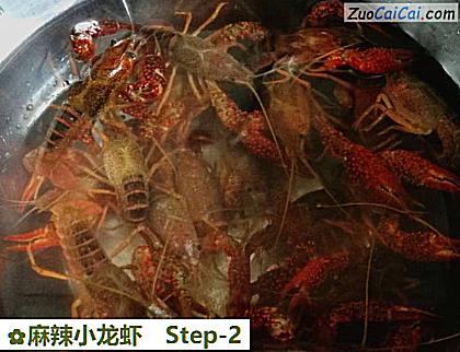 麻辣小龙虾做法第二步骤