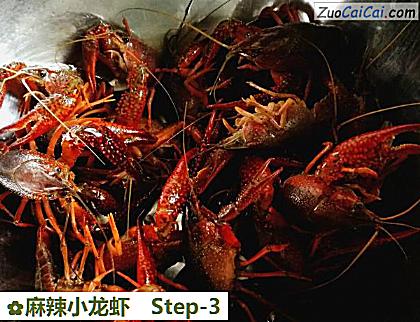 麻辣小龙虾做法第三步骤