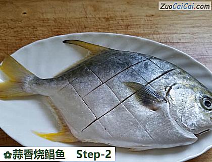 蒜香烧鲳鱼做法第二步骤