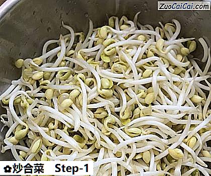 炒合菜做法第一步骤