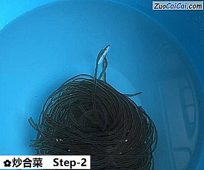 炒合菜做法第二步骤