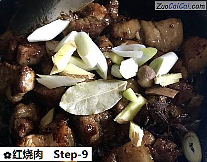 红烧肉做法第九步骤