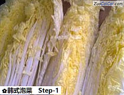 韩式泡菜做法第一步骤