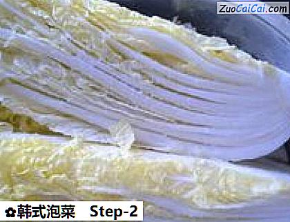 韩式泡菜做法第二步骤