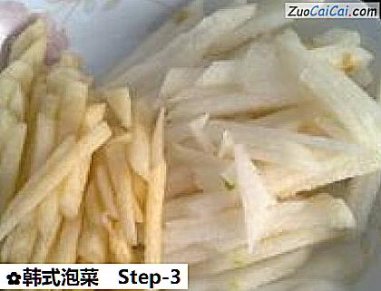 韩式泡菜做法第三步骤