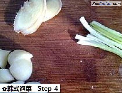 韩式泡菜做法第四步骤