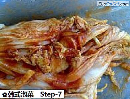 韩式泡菜做法第七步骤