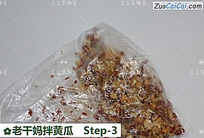 老干妈拌黄瓜做法第三步骤