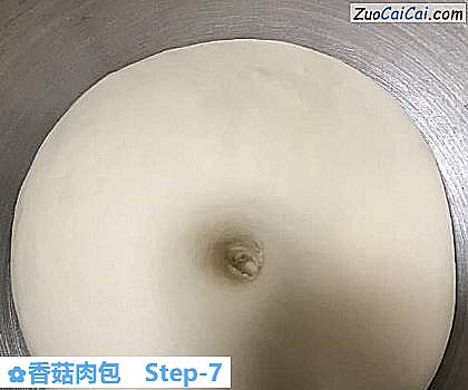 香菇肉包做法第七步骤