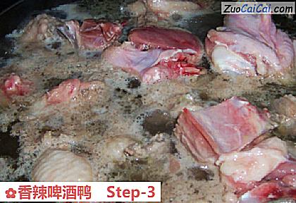 香辣啤酒鸭做法第三步骤