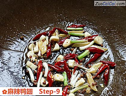 麻辣鸭翅做法第九步骤