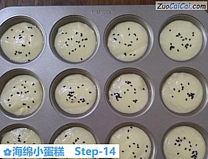 海绵小蛋糕做法第十四步骤