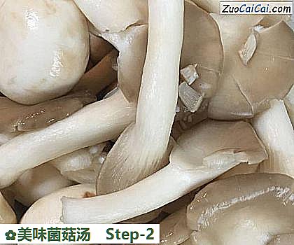 美味菌菇汤做法第二步骤