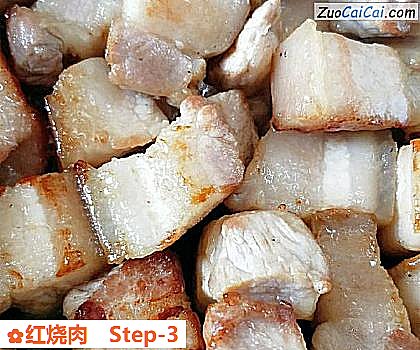 红烧肉做法第三步骤