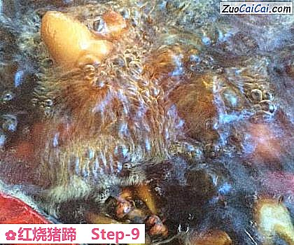 红烧猪蹄做法第九步骤