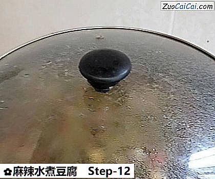 麻辣水煮豆腐做法第十二步骤