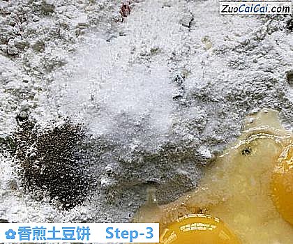 香煎土豆饼做法第三步骤
