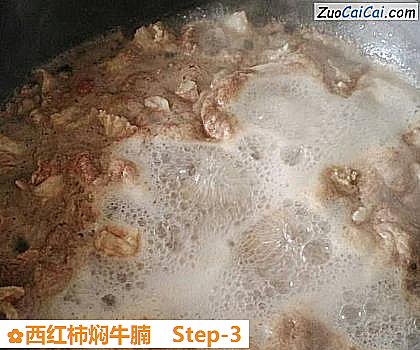 西红柿焖牛腩做法第三步骤