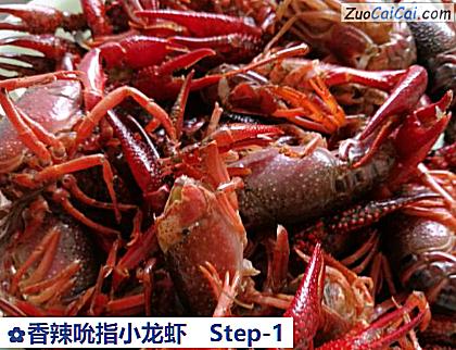 香辣吮指小龙虾做法第一步骤