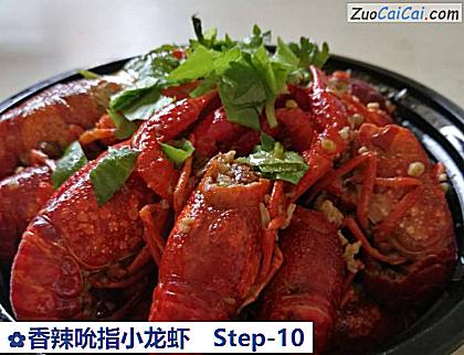 香辣吮指小龙虾做法第十步骤