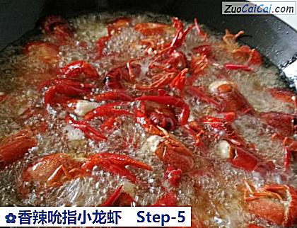 香辣吮指小龙虾做法第五步骤