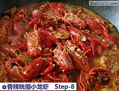 香辣吮指小龙虾做法第八步骤