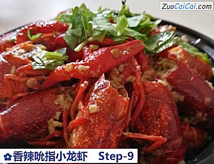 香辣吮指小龙虾做法第九步骤