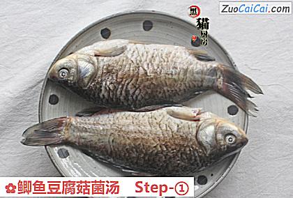 鲫鱼豆腐菇菌汤做法第一步骤