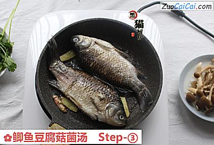 鲫鱼豆腐菇菌汤做法第三步骤
