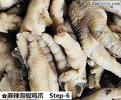 麻辣泡椒鸡爪做法第六步骤