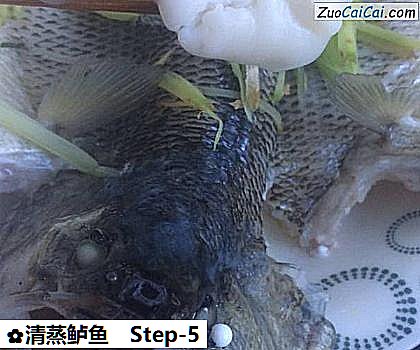 清蒸鲈鱼做法第五步骤
